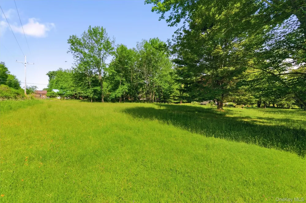 TBD Britman Road Bethel, NY 12720