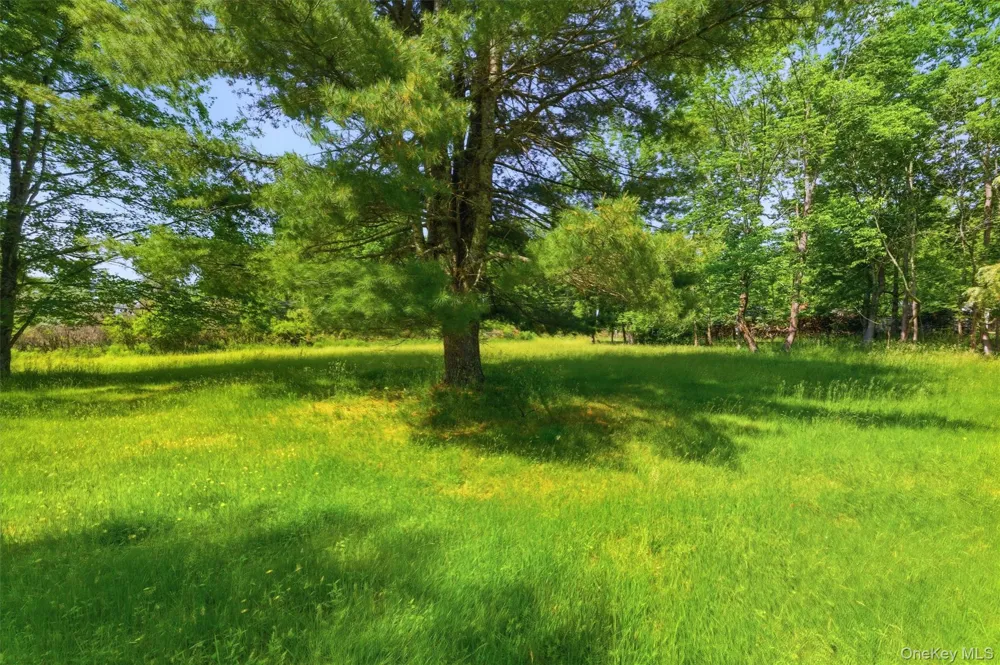 TBD Britman Road Bethel, NY 12720
