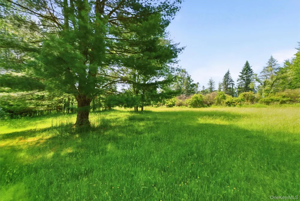 TBD Britman Road Bethel, NY 12720