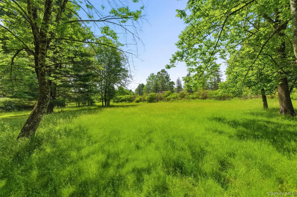 TBD Britman Road Bethel, NY 12720