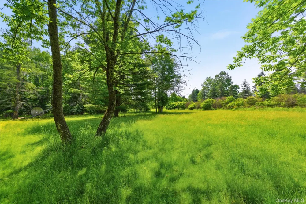 TBD Britman Road Bethel, NY 12720