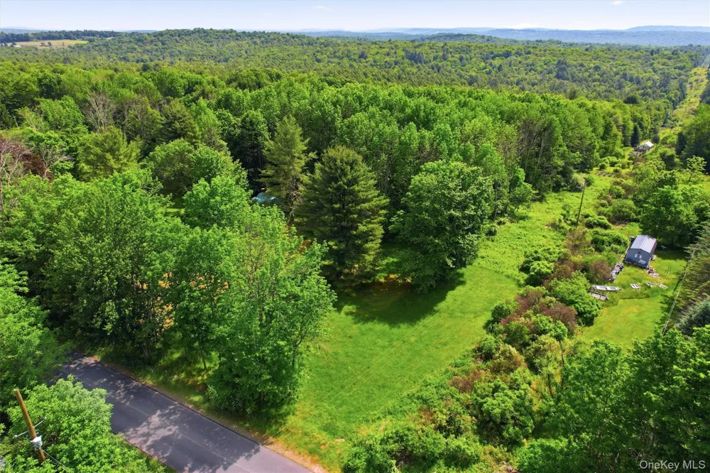 TBD Britman Road Bethel, NY 12720