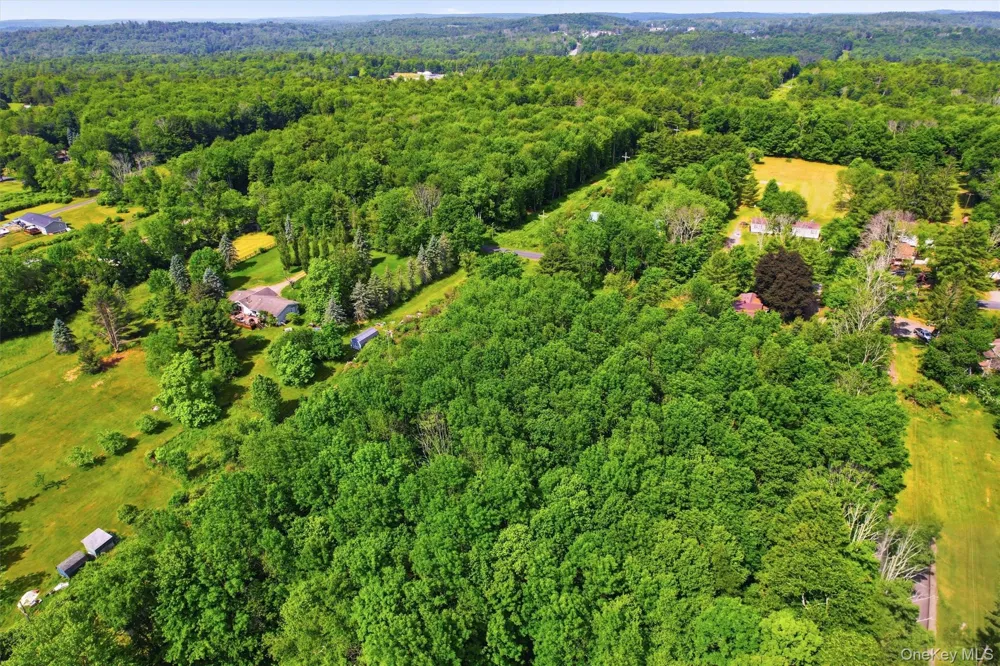 TBD Britman Road Bethel, NY 12720