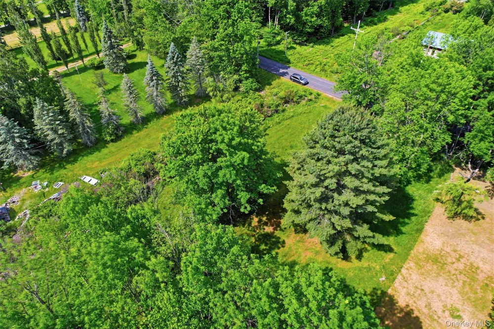 TBD Britman Road Bethel, NY 12720