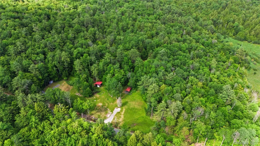 279 Snow Road Call Listing Agent, NY 12835