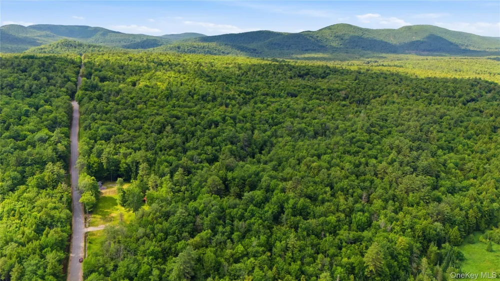 279 Snow Road Call Listing Agent, NY 12835