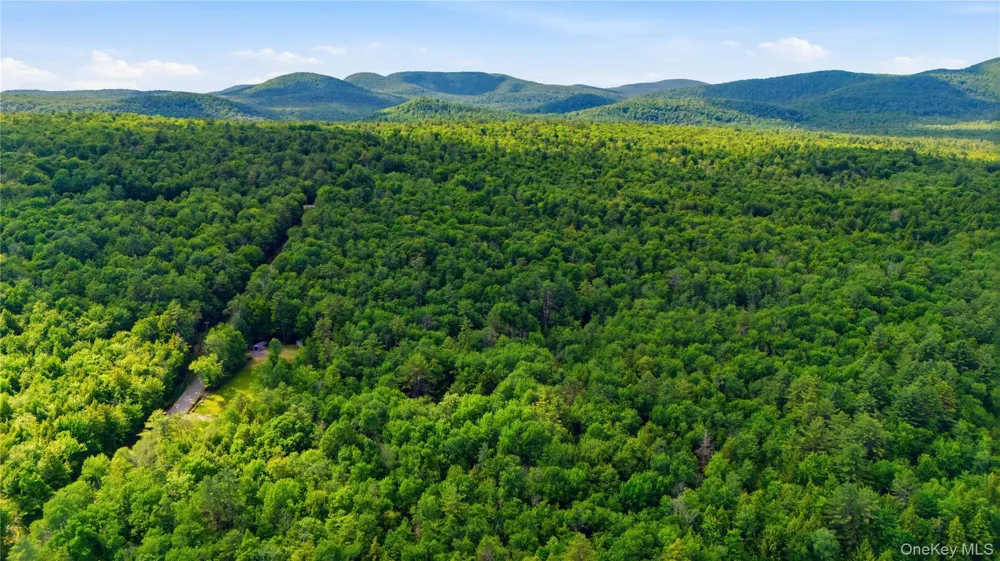 279 Snow Road Call Listing Agent, NY 12835