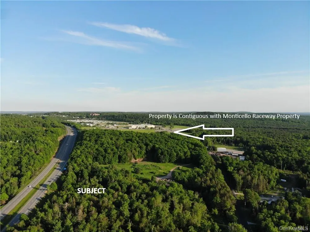 Lot 5.4 Kaufman Road Monticello, NY 12701