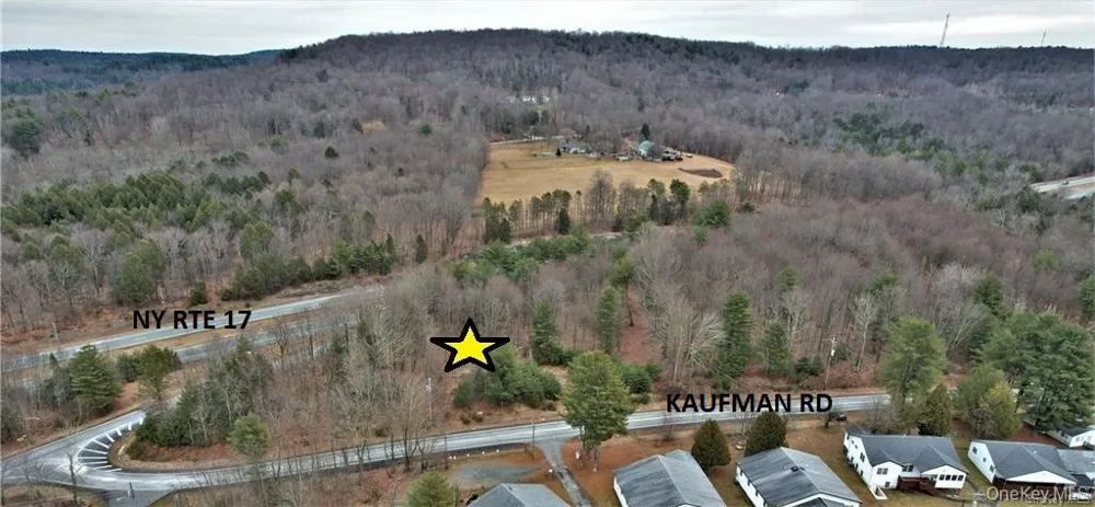 Lot 5.4 Kaufman Road Monticello, NY 12701