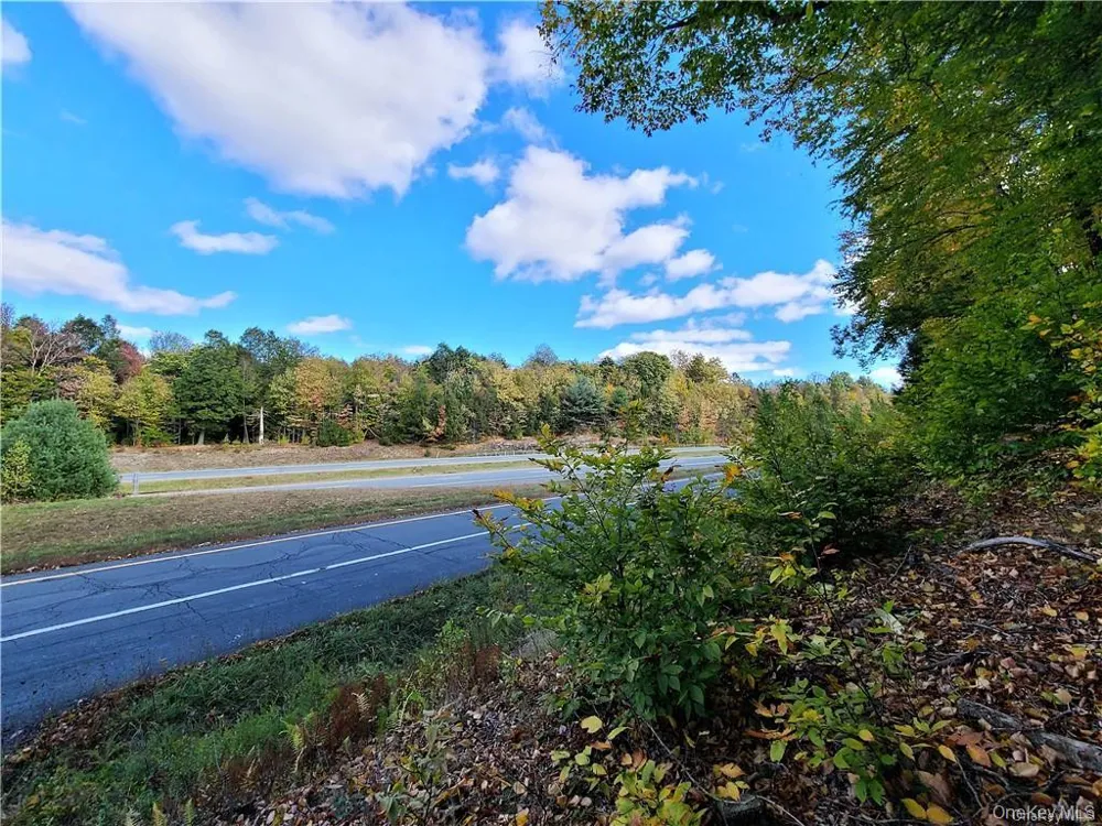 Lot 5.4 Kaufman Road Monticello, NY 12701