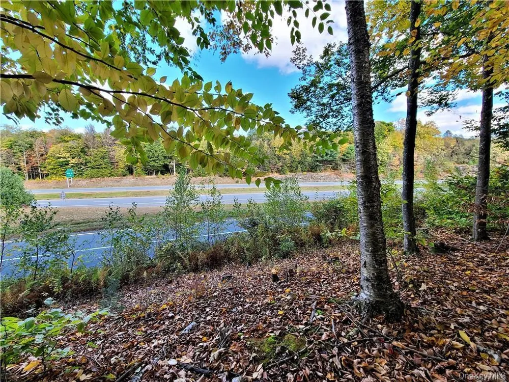 Lot 5.4 Kaufman Road Monticello, NY 12701