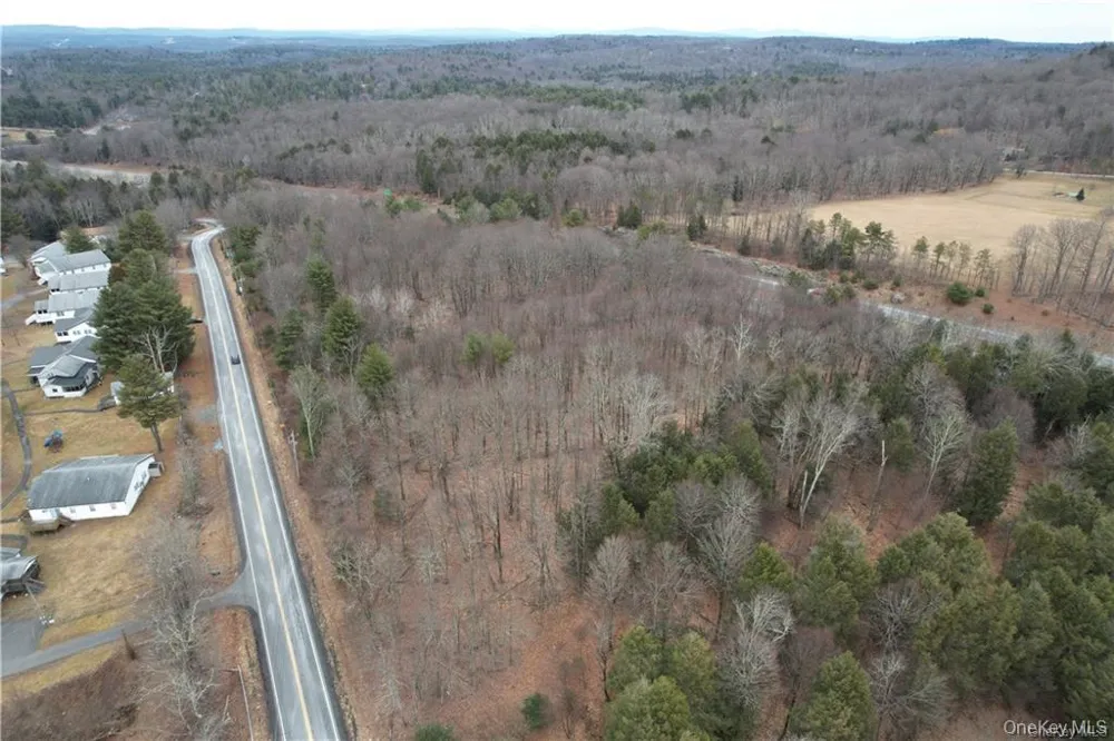 Lot 5.4 Kaufman Road Monticello, NY 12701