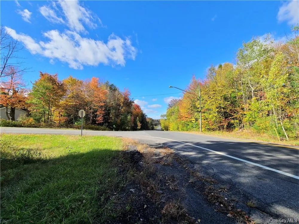 Lot 5.4 Kaufman Road Monticello, NY 12701