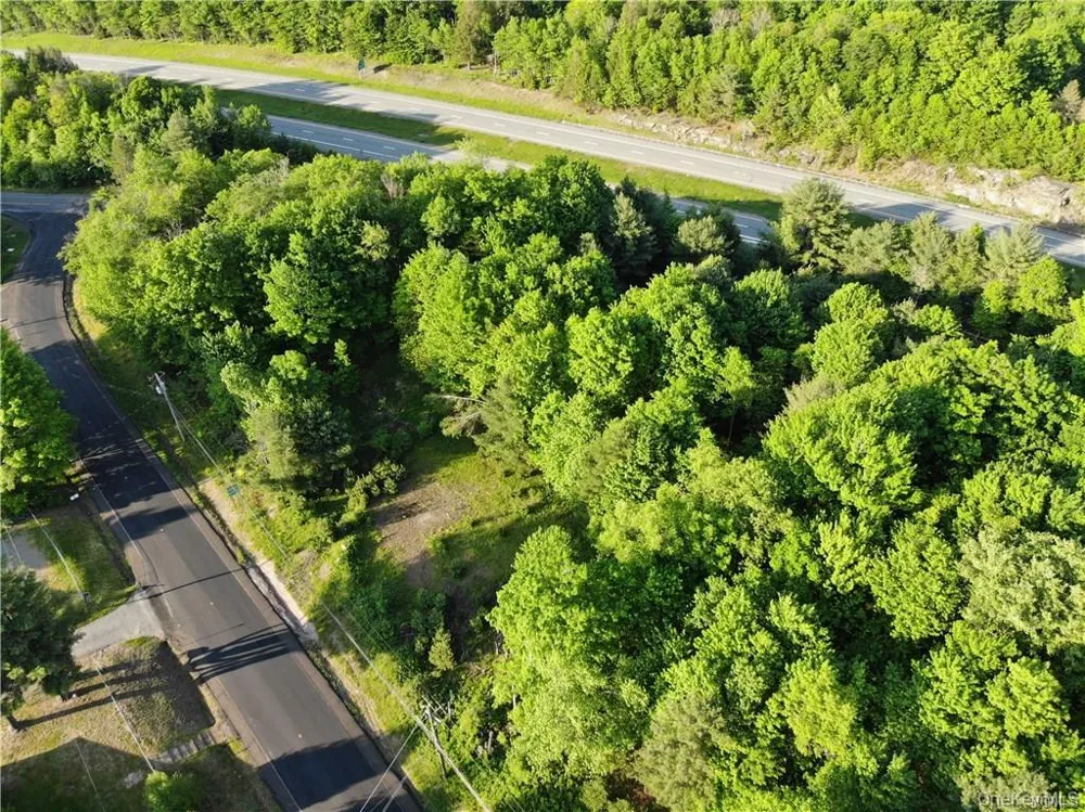Lot 5.4 Kaufman Road Monticello, NY 12701