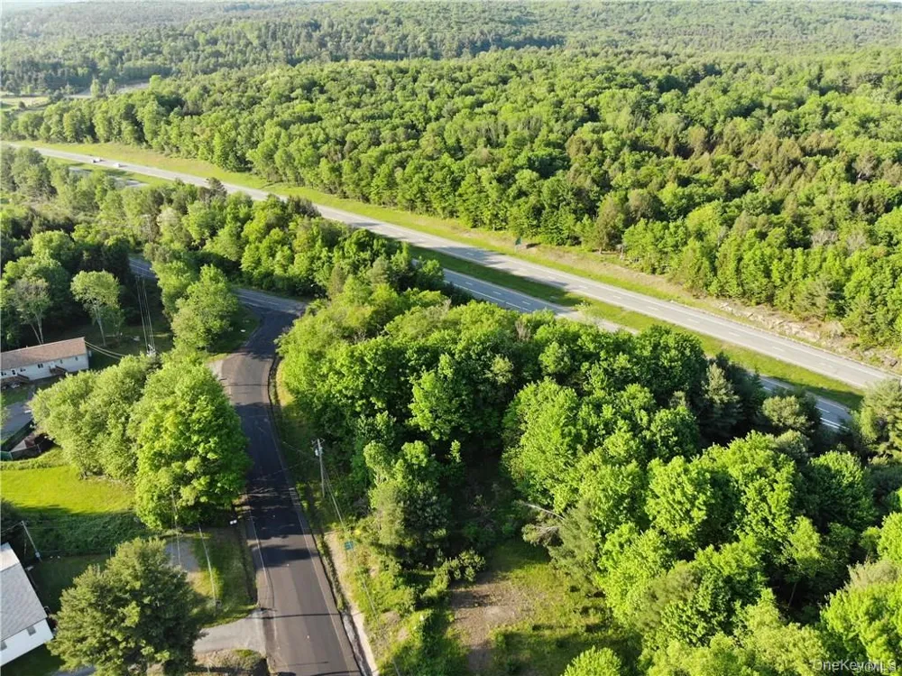 Lot 5.4 Kaufman Road Monticello, NY 12701