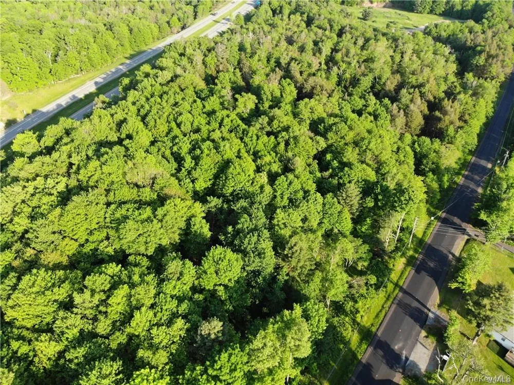 Lot 5.4 Kaufman Road Monticello, NY 12701