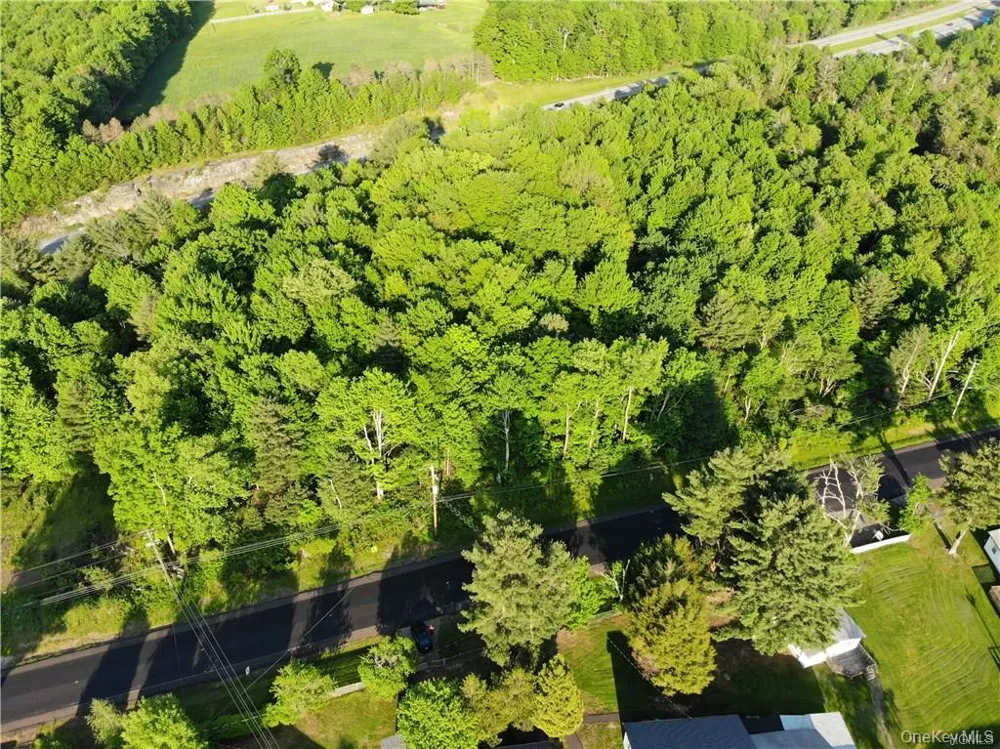 Lot 5.4 Kaufman Road Monticello, NY 12701