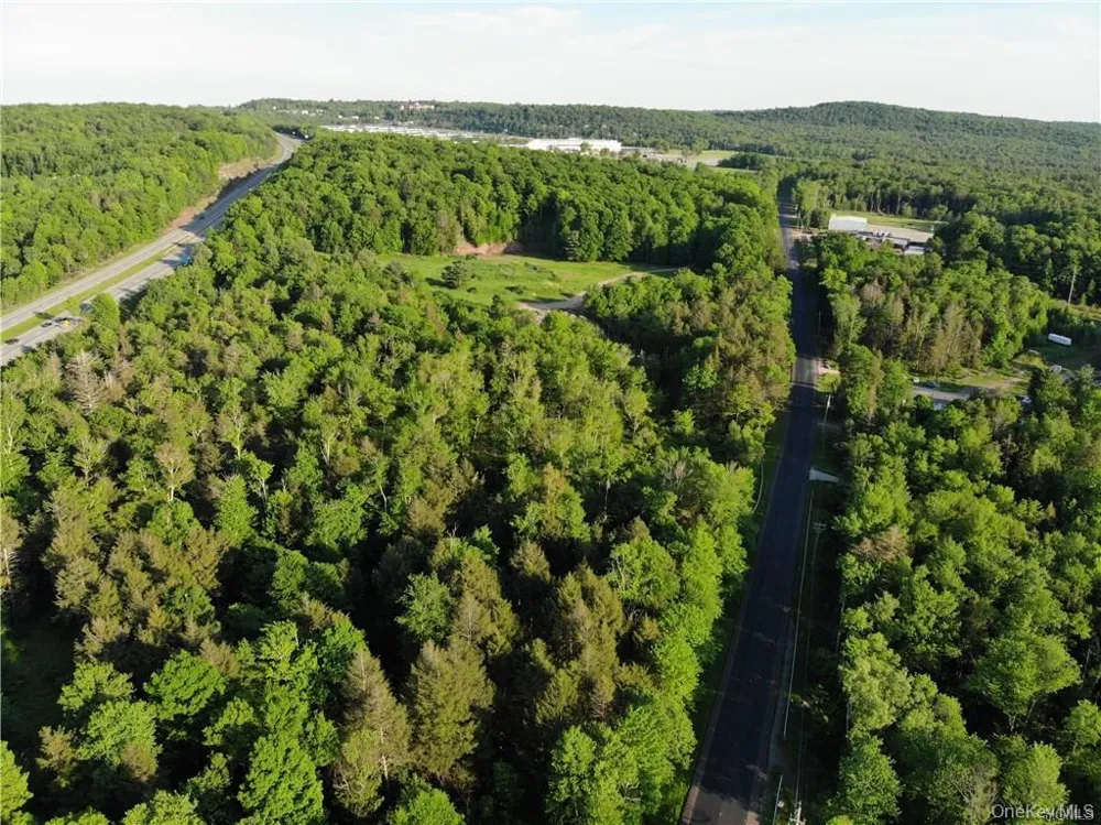 Lot 5.4 Kaufman Road Monticello, NY 12701