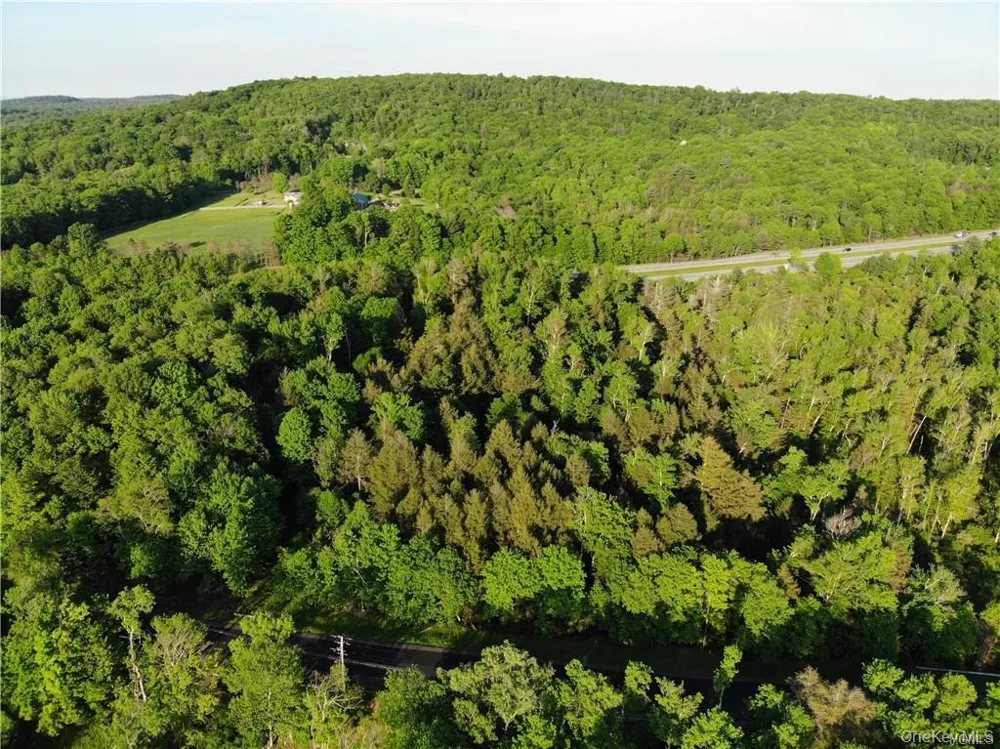 Lot 5.4 Kaufman Road Monticello, NY 12701