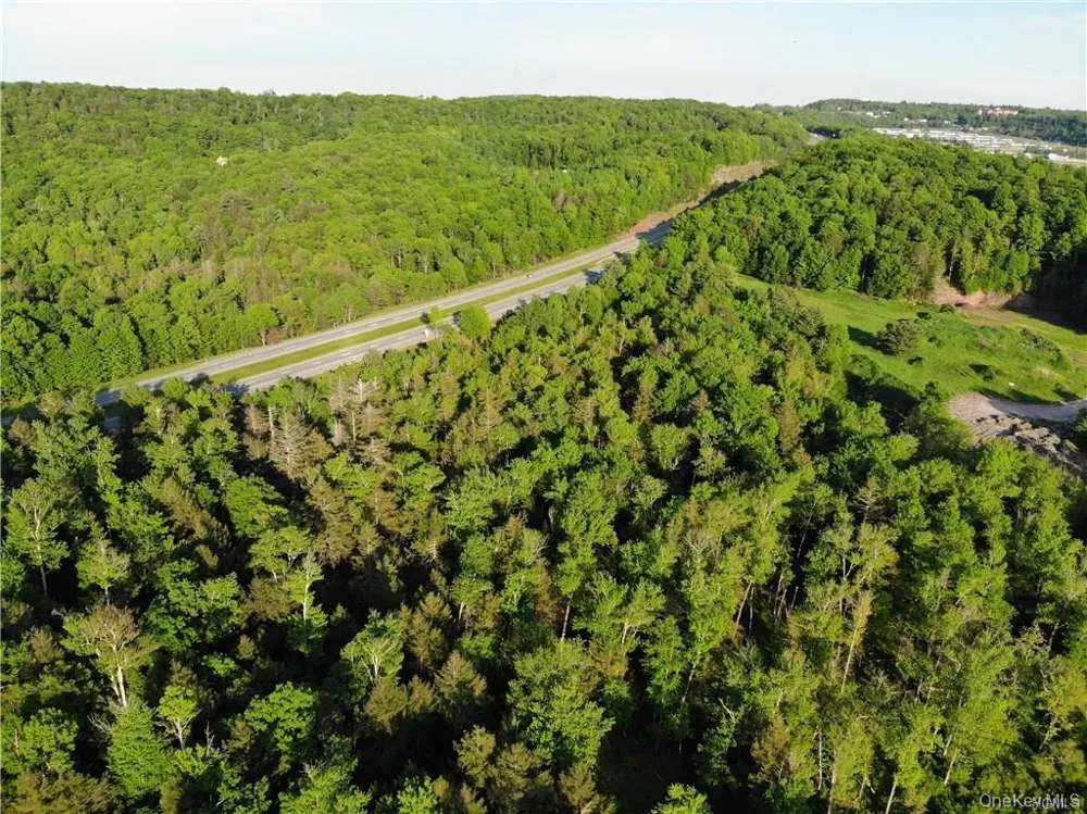 Lot 5.4 Kaufman Road Monticello, NY 12701