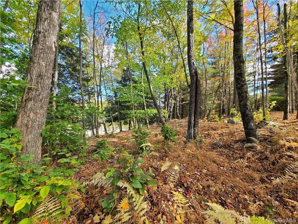 Lot 5.4 Kaufman Road Monticello, NY 12701