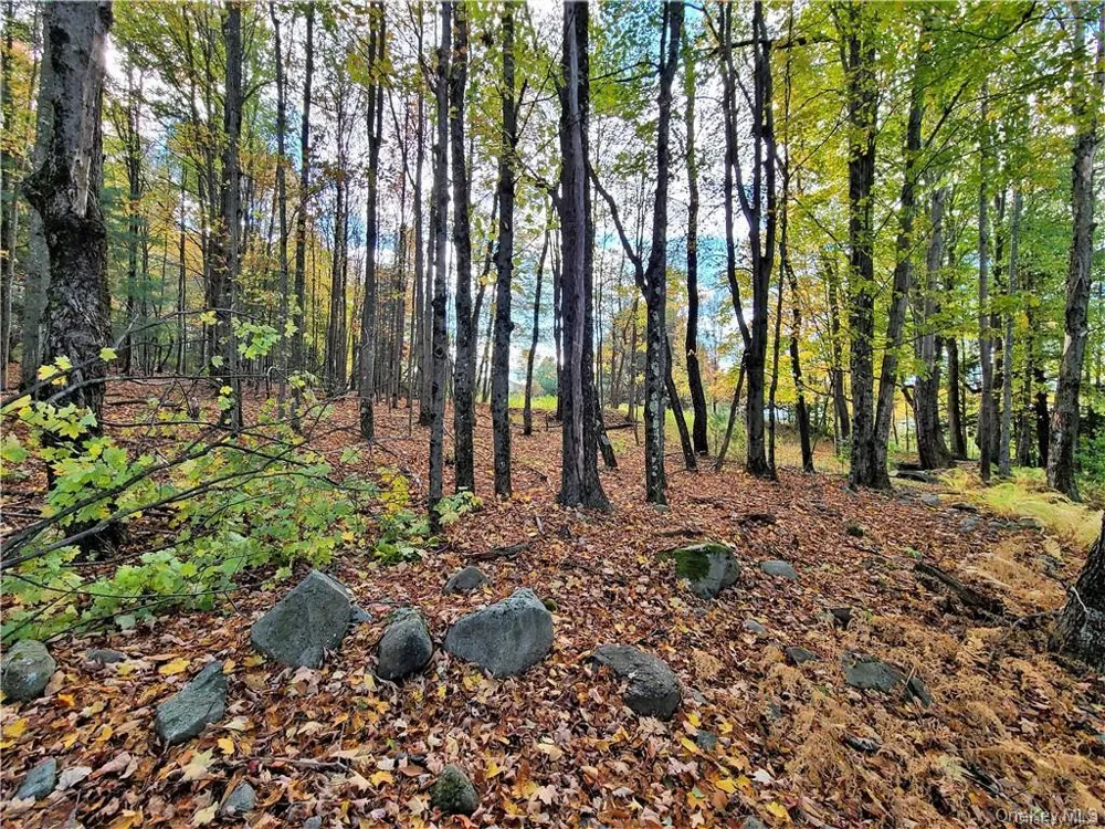 Lot 5.4 Kaufman Road Monticello, NY 12701