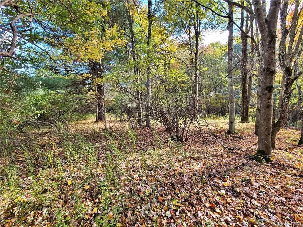 Lot 5.4 Kaufman Road Monticello, NY 12701