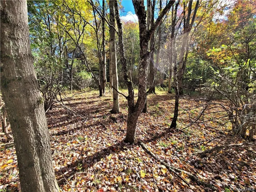 Lot 5.4 Kaufman Road Monticello, NY 12701
