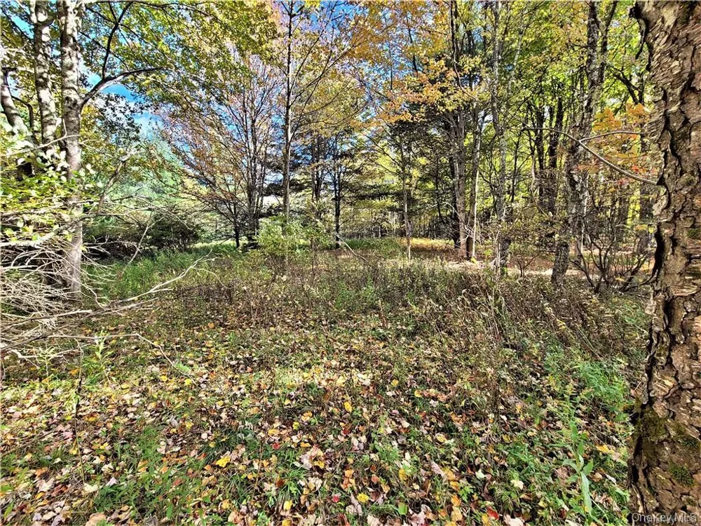 Lot 5.4 Kaufman Road Monticello, NY 12701