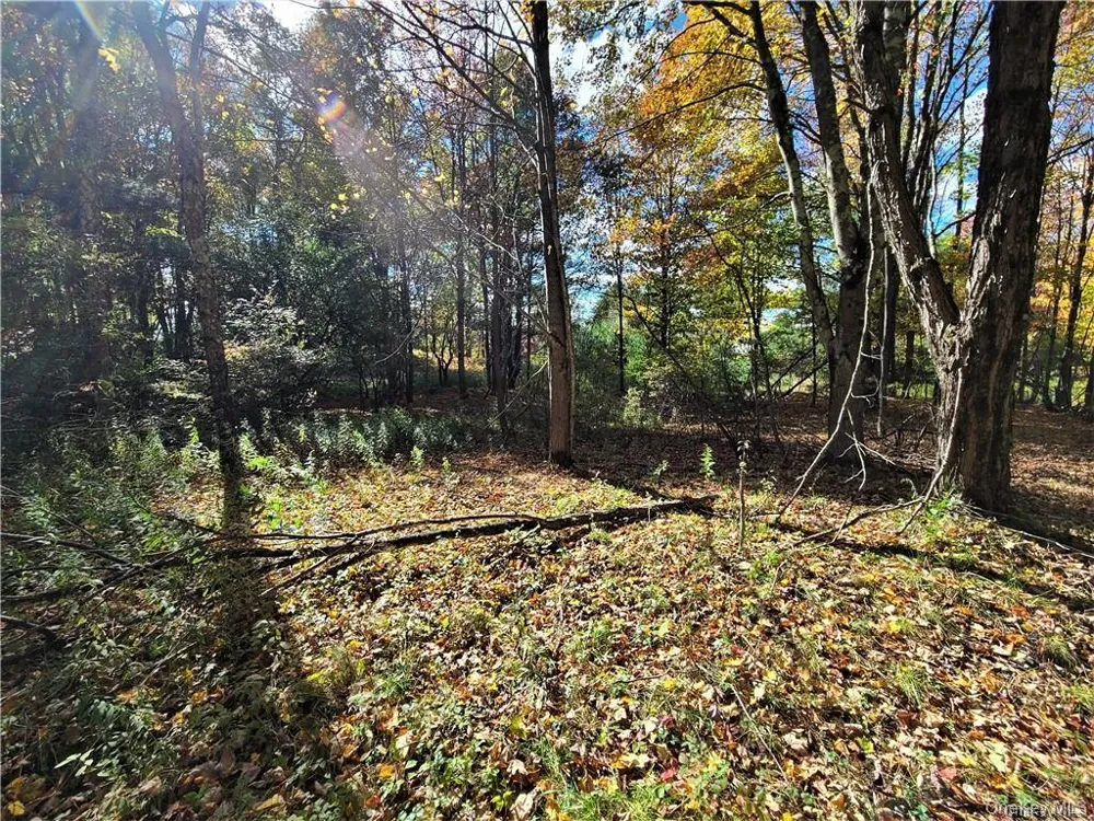 Lot 5.4 Kaufman Road Monticello, NY 12701
