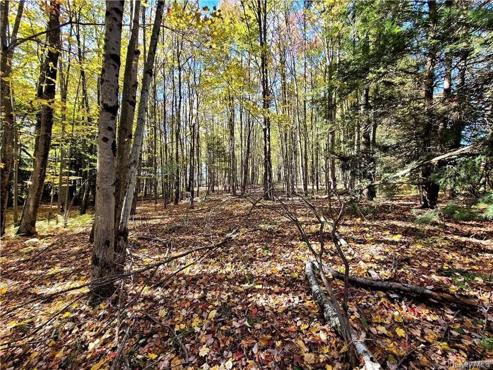 Lot 5.4 Kaufman Road Monticello, NY 12701