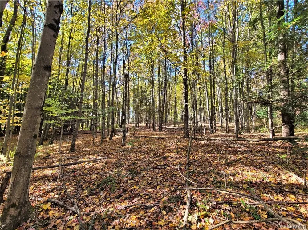 Lot 5.4 Kaufman Road Monticello, NY 12701