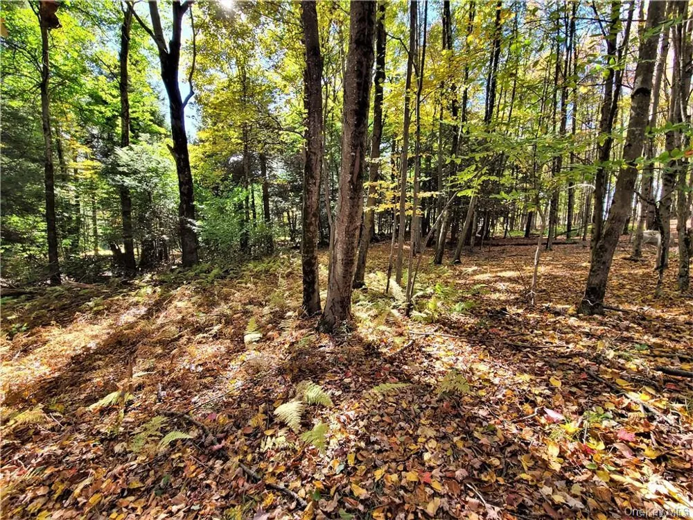 Lot 5.4 Kaufman Road Monticello, NY 12701