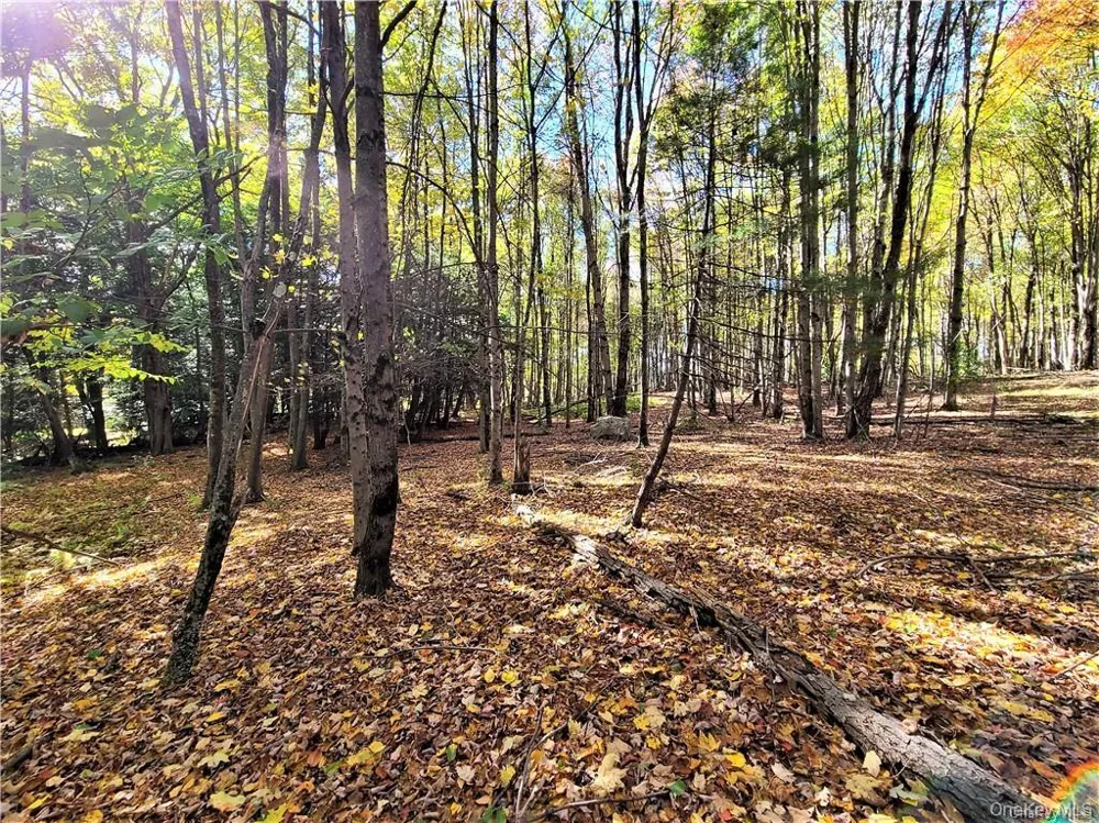 Lot 5.4 Kaufman Road Monticello, NY 12701