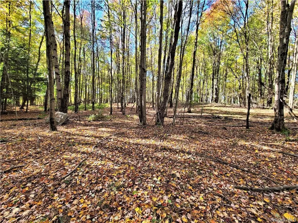 Lot 5.4 Kaufman Road Monticello, NY 12701