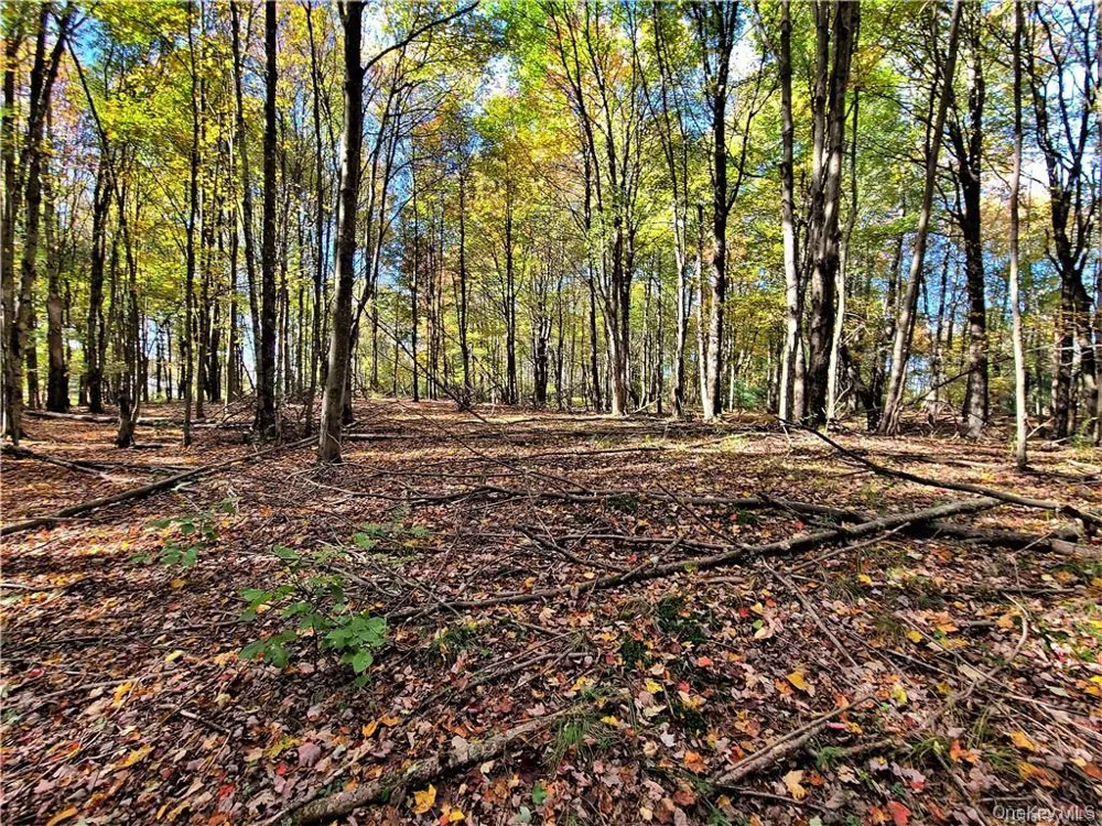 Lot 5.4 Kaufman Road Monticello, NY 12701