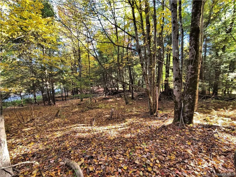 Lot 5.4 Kaufman Road Monticello, NY 12701