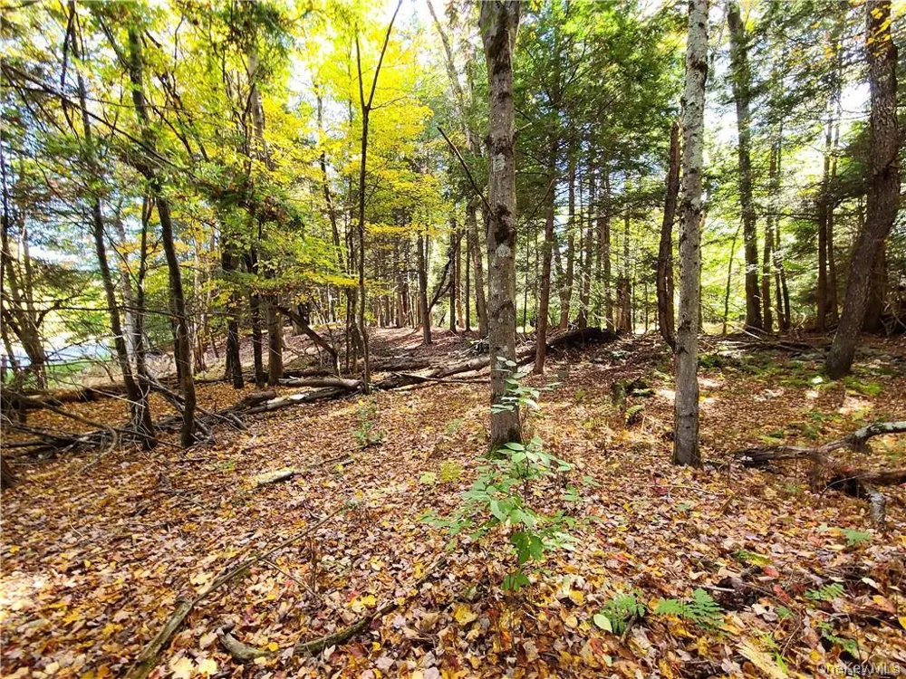 Lot 5.4 Kaufman Road Monticello, NY 12701