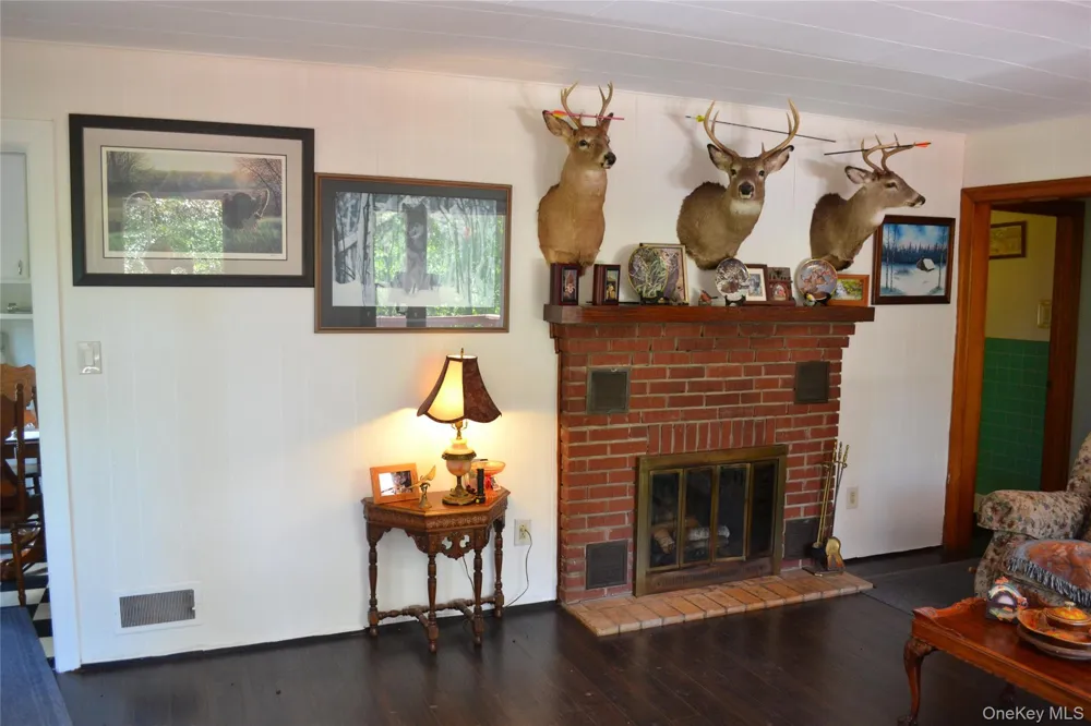 549 Gavette Road Roscoe, NY 12776