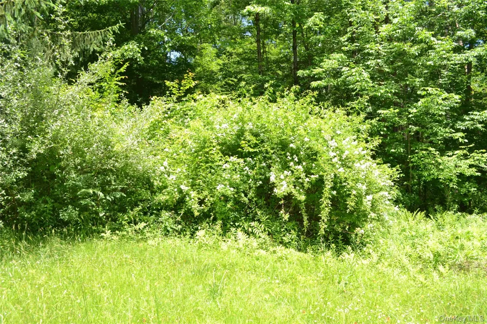 549 Gavette Road Roscoe, NY 12776