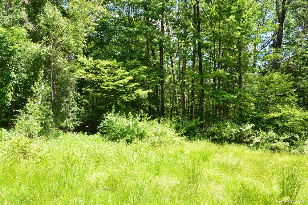 549 Gavette Road Roscoe, NY 12776