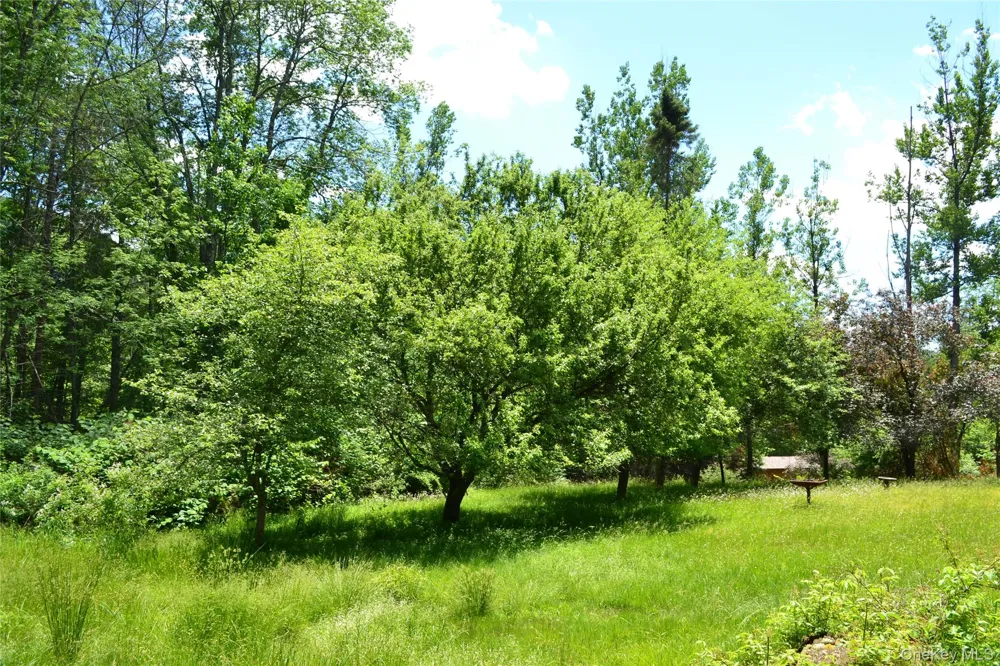 549 Gavette Road Roscoe, NY 12776