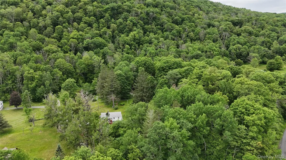 549 Gavette Road Roscoe, NY 12776