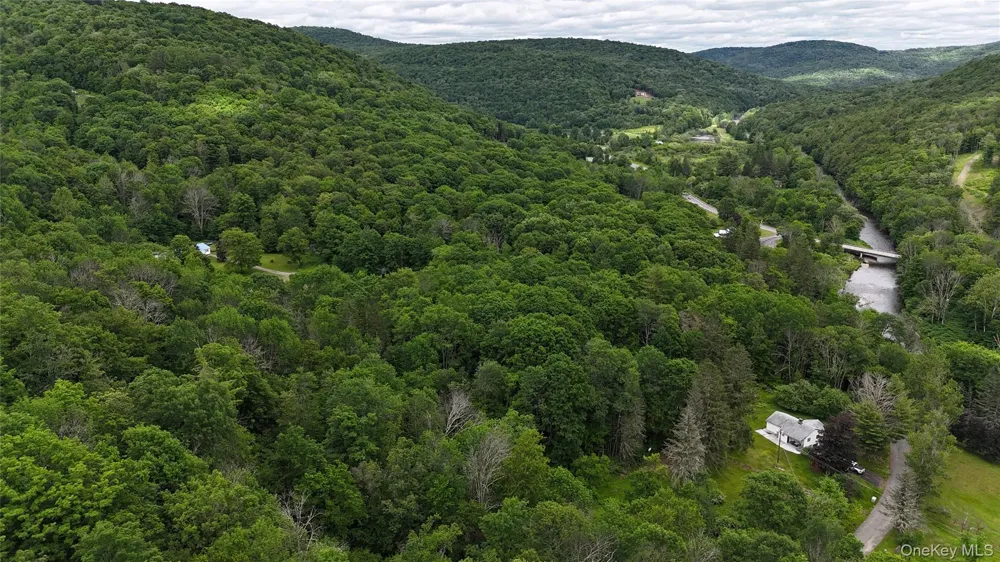 549 Gavette Road Roscoe, NY 12776