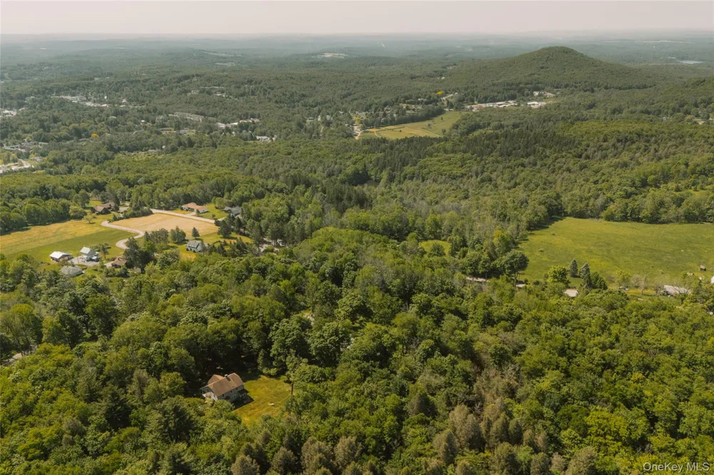 133 Revonah Hill Road Liberty, NY 12754