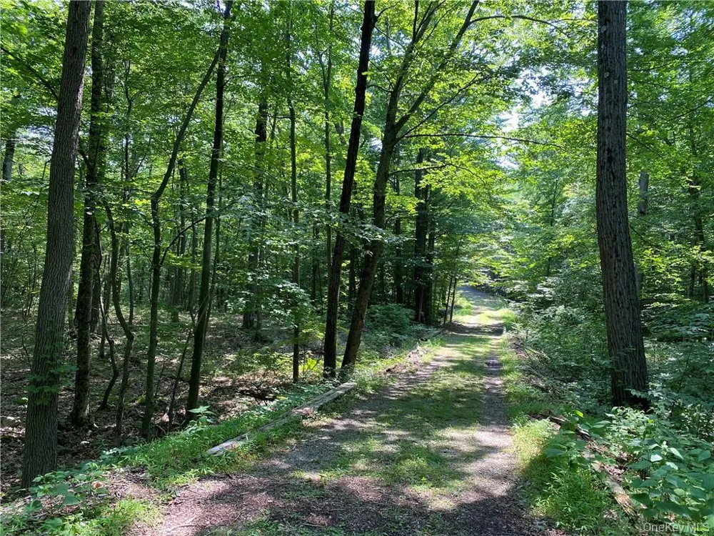 554 & 545 E Mountain Road Cold Spring, NY 10516