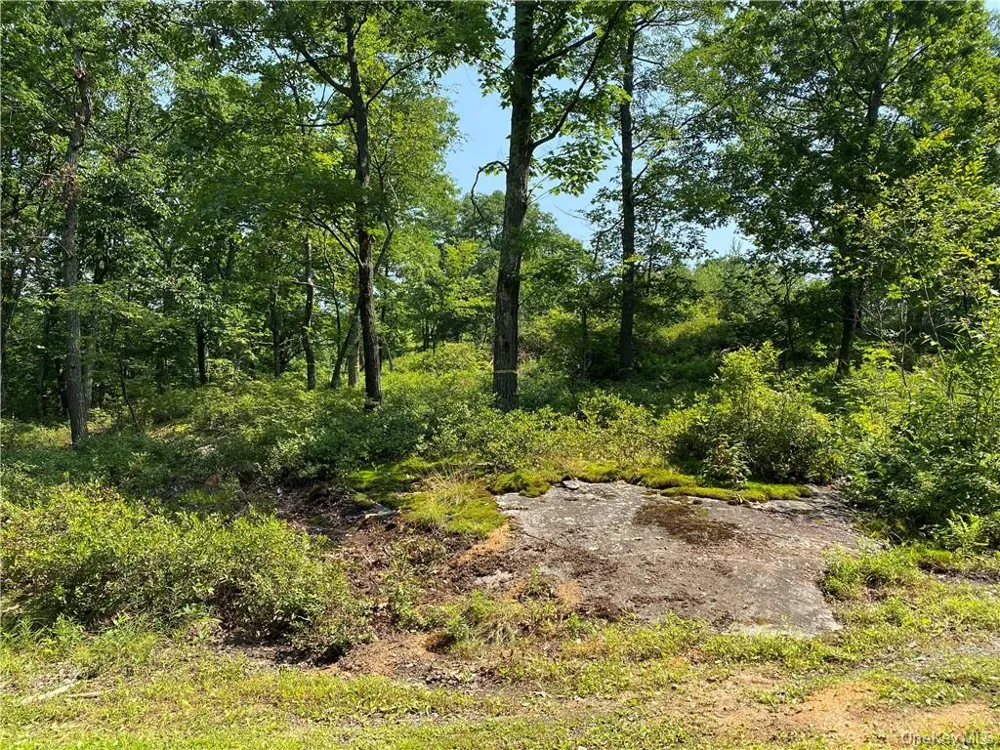 554 & 545 E Mountain Road Cold Spring, NY 10516