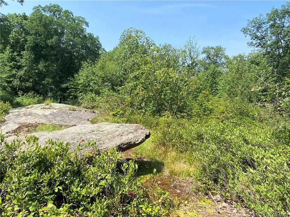 554 & 545 E Mountain Road Cold Spring, NY 10516