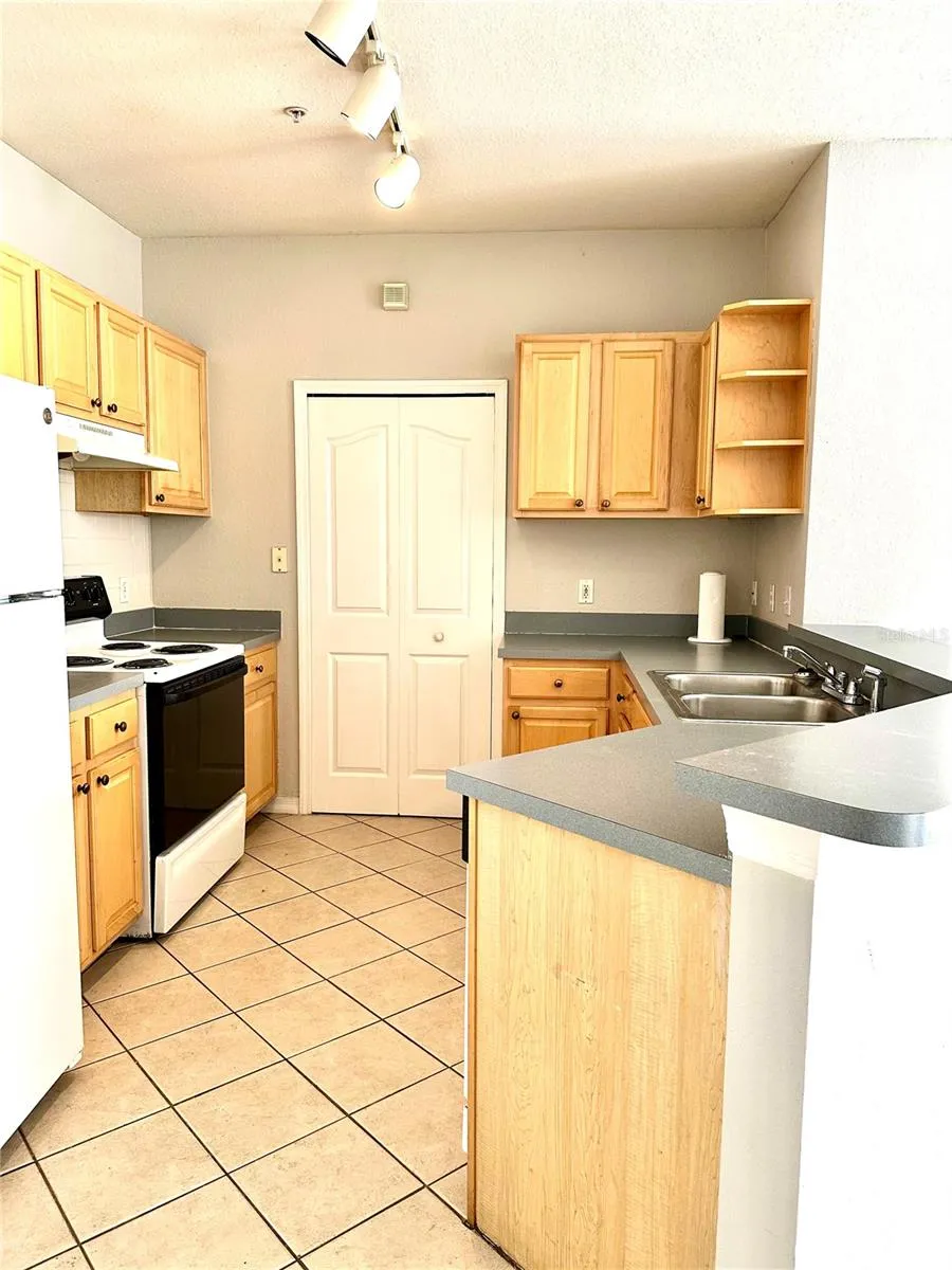 1150 LAKE SHADOW CIRCLE #3102 Maitland, FL 32751