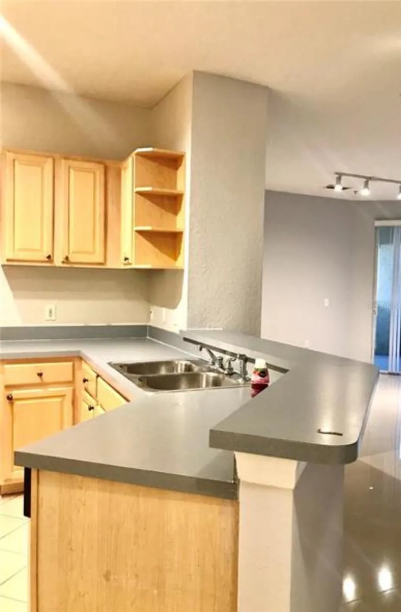 1150 LAKE SHADOW CIRCLE #3102 Maitland, FL 32751